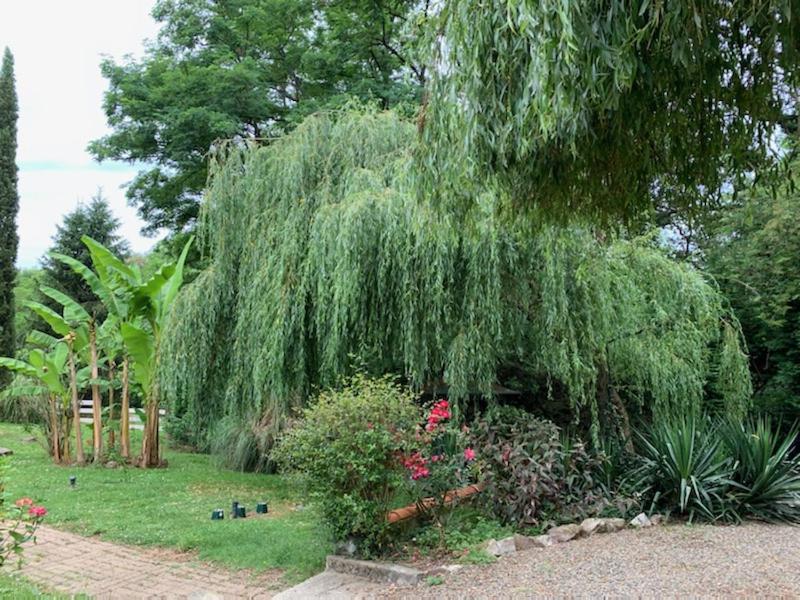 Gites Matilon, 5 Min Eugenie Les Bains Buanes Εξωτερικό φωτογραφία